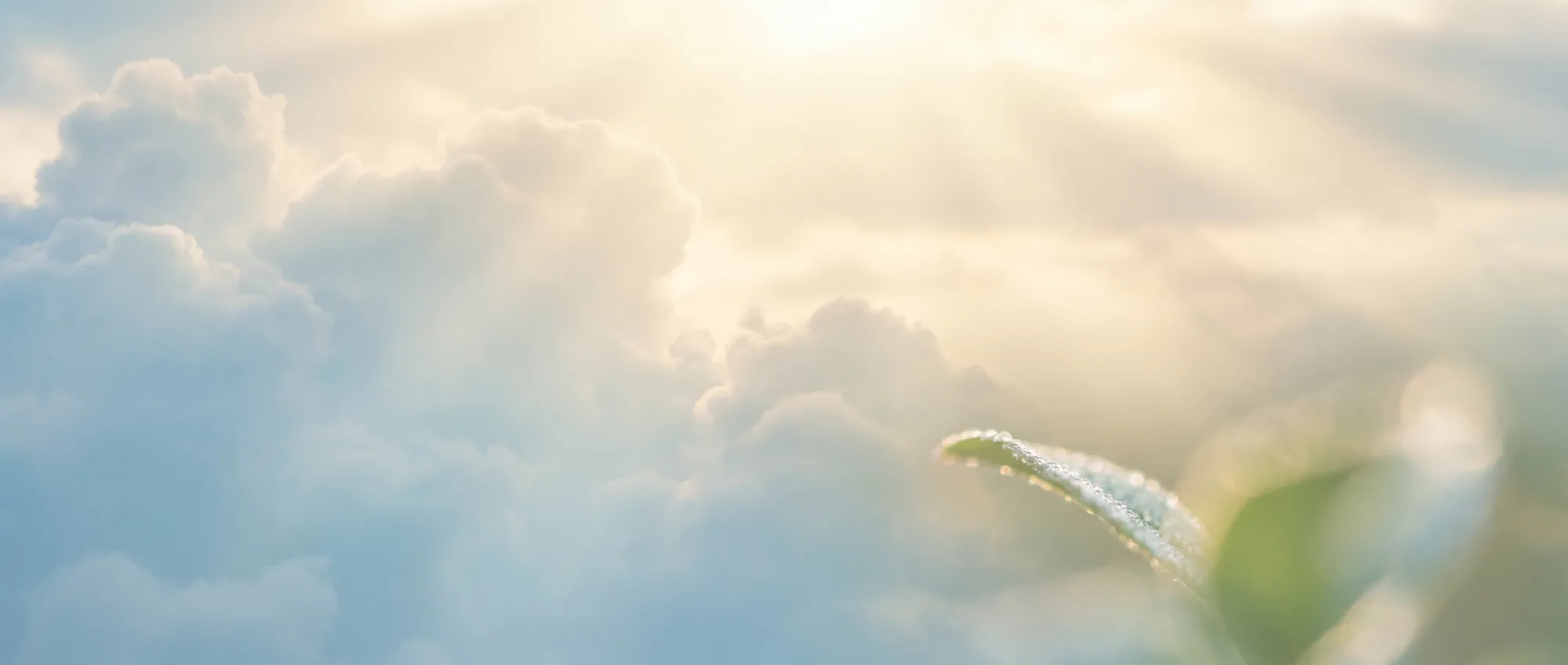 朝の青空と差し込む光